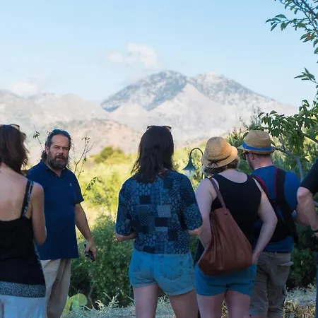 Dalabelos Estate - Traditional Agrotourism Complex Angeliana (Crete)